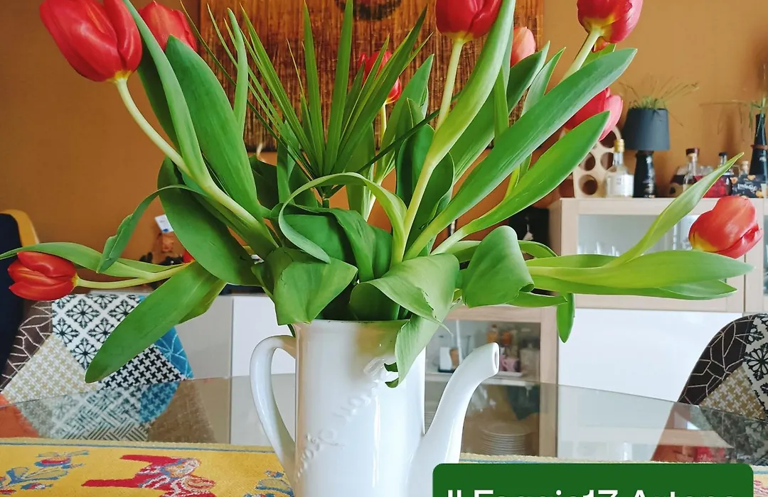 Il Faggio 17 B&B Artena-1